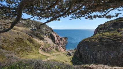 En dramatisk kustvy vid Åkersberget där klippor möter havet, inramad av träd och blå himmel.