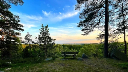 En lugn plats i Åsljunga med utsiktsbänk bland tallar, där man ser ut över skog och himmel.
