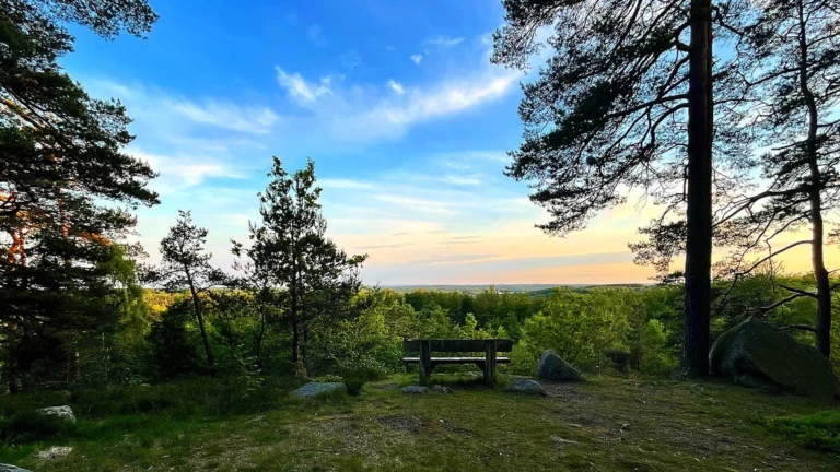 En lugn plats i Åsljunga med utsiktsbänk bland tallar, där man ser ut över skog och himmel.