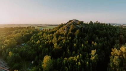 Den gröna högen i Nyvång omgiven av träd och åkermark, fångad i varmt kvällsljus.