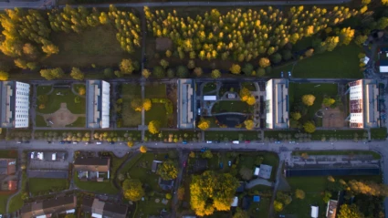 En geometrisk stadsvy från ovan, där rader av bostadshus omges av parker och träd i varma kvällsfärger.