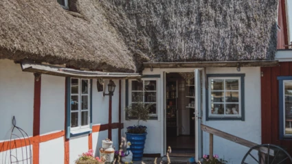 Bild av Gåsapågarna på Bialitt i Gryttinge, Svalöv. En charmig skånsk korsvirkesstuga med vitputsade väggar, röda trädetaljer och halmtak. Framför huset syns en liten gårdsplan fylld med färgglada blomkrukor och grönska, badande i somrigt solljus. Dörren står öppen och avslöjar en inbjudande interiör.