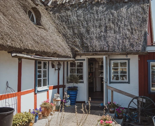 Bild av Gåsapågarna på Bialitt i Gryttinge, Svalöv. En charmig skånsk korsvirkesstuga med vitputsade väggar, röda trädetaljer och halmtak. Framför huset syns en liten gårdsplan fylld med färgglada blomkrukor och grönska, badande i somrigt solljus. Dörren står öppen och avslöjar en inbjudande interiör.