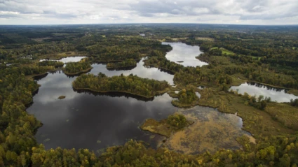 Ett storslaget landskap av sjöar, myrmarker och skog som speglar höstfärgerna i Gustafsborgsområdet.