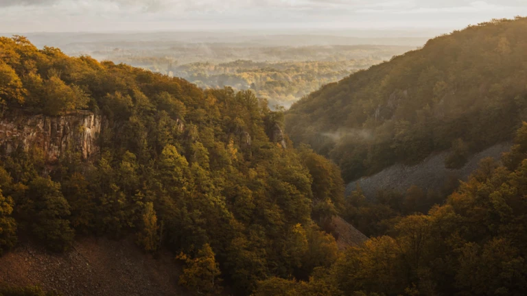 Ett dramatiskt landskap av höga skogsklädda klippor och dimma i dalen, fångat i varmt ljus.