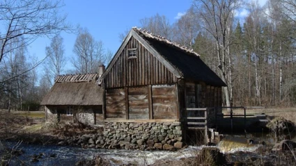 Bild av Rüveröds kvarn i Klippan, en historisk vattenkvarn med timrade väggar och halmtak. Byggnaden står vid en bäck med rinnande vatten och omges av träd i tidig vårgrönska under klarblå himmel.