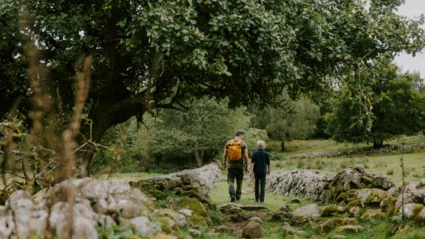 En lugn vandringsstig i Klåveröds strövområde där två vandrare går mellan mossbelupna stenmurar under lummiga träd.