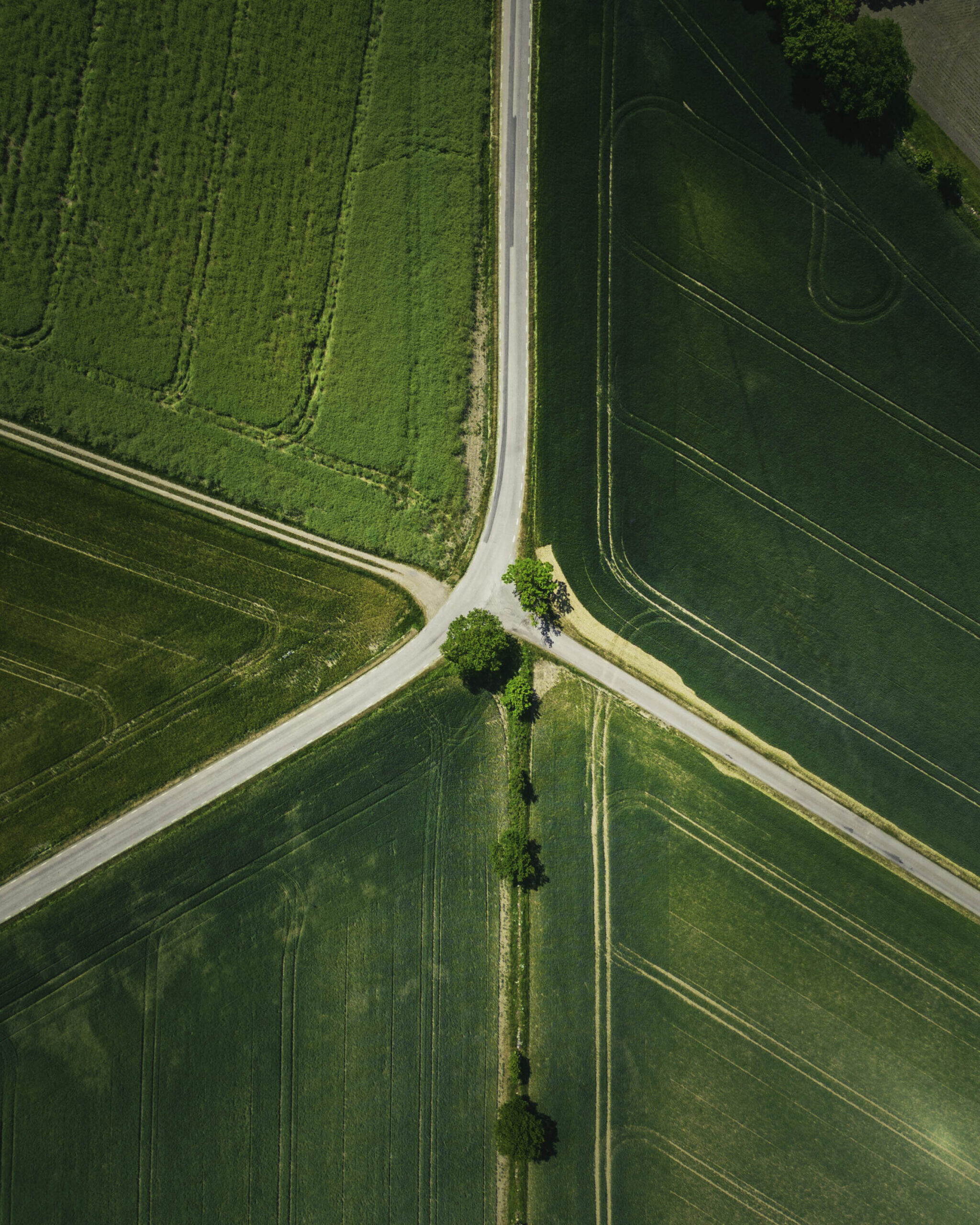 Ett geometriskt mönster av vägar och åkrar sett från ovan, som visar det skånska jordbrukslandskapets former.