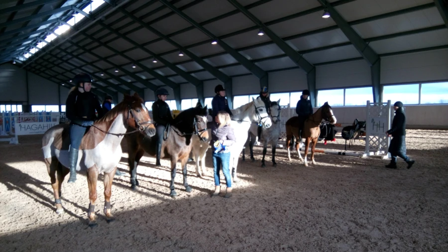 Ponnies