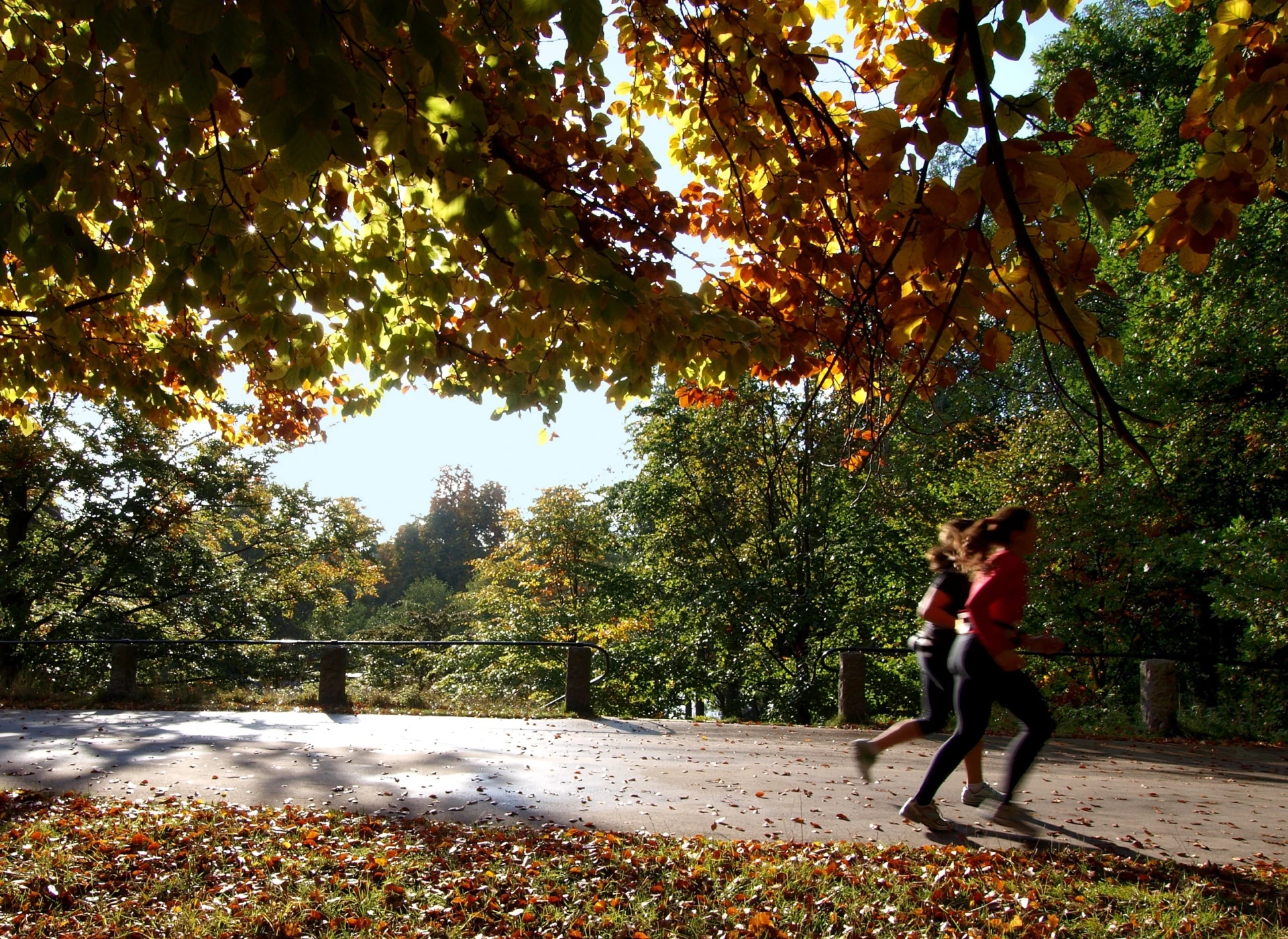 Två personer springer i skogen en vacker höstdag.