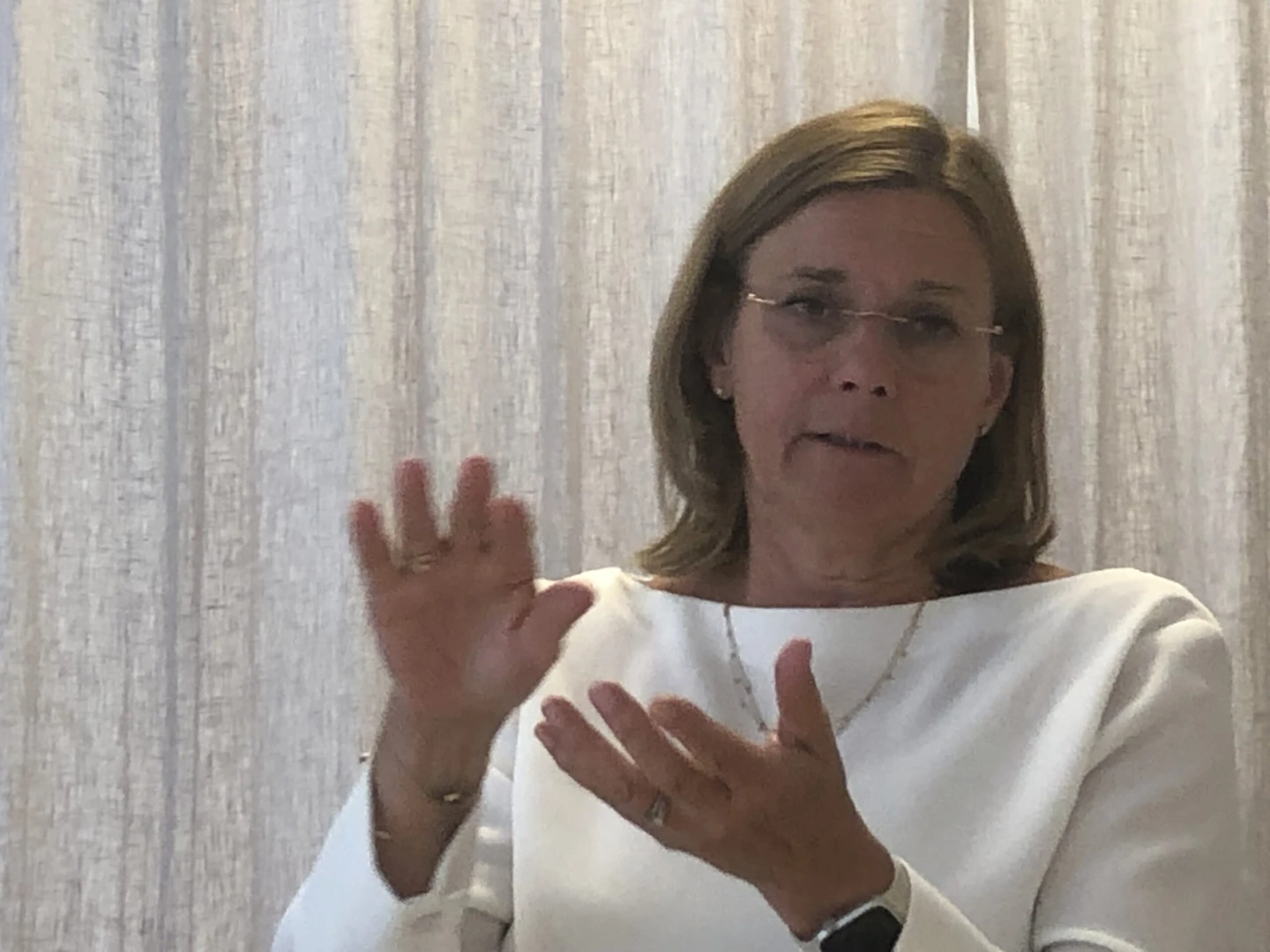 Isabella Lövin talar.