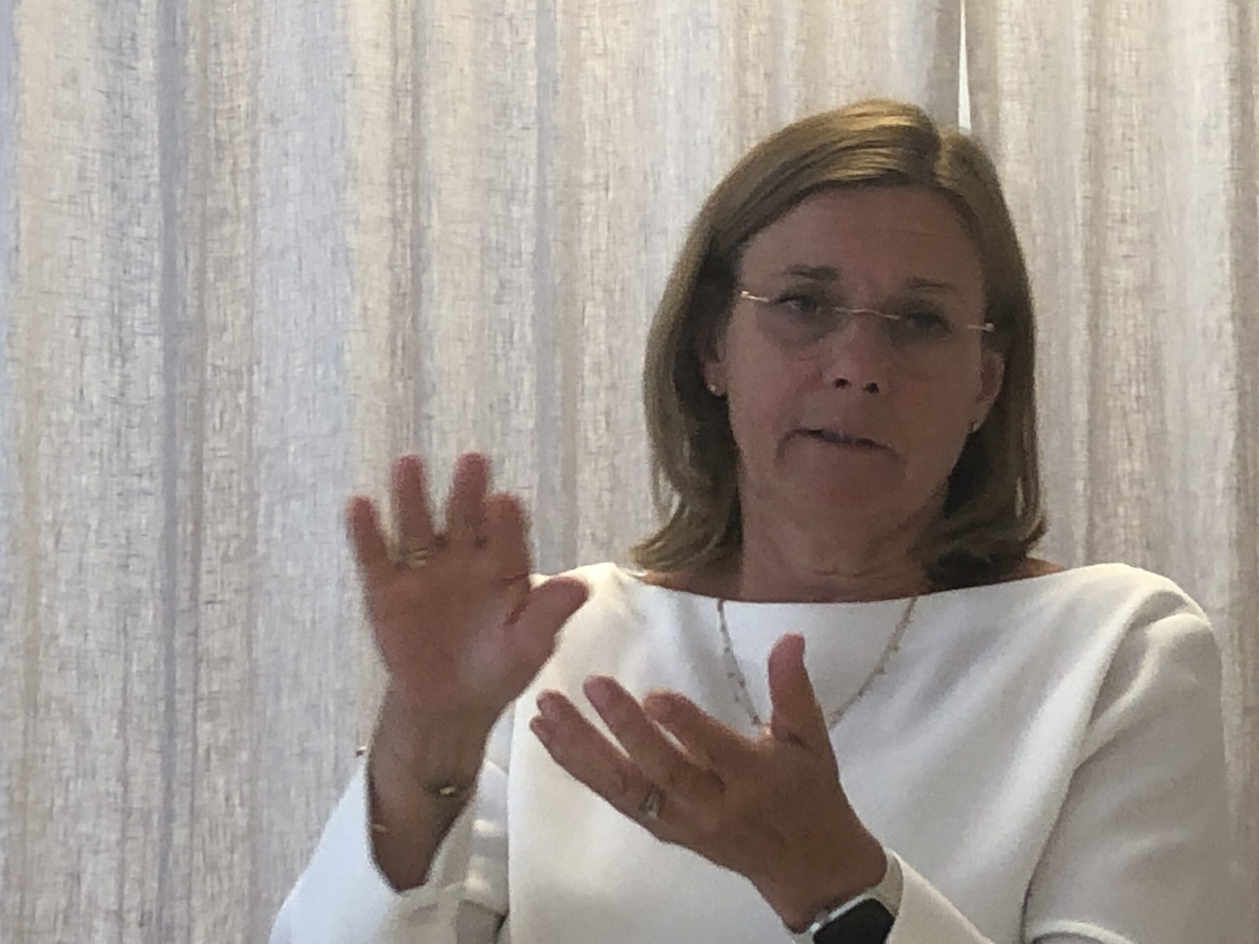 Isabella Lövin talar.