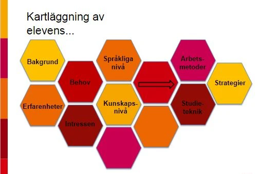 Kartläggning av eleven