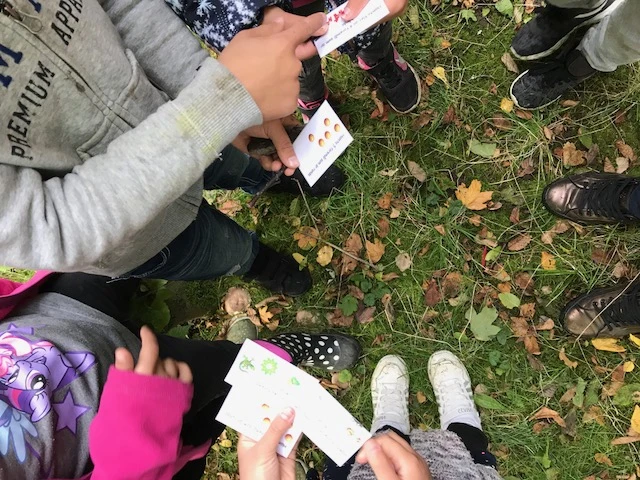 På Drottninghögskolan har vi även naturen och utemiljön som klassrum