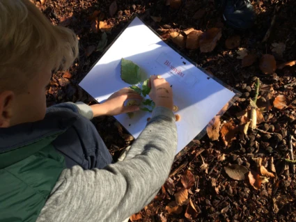 skrivande hand på papper i naturen