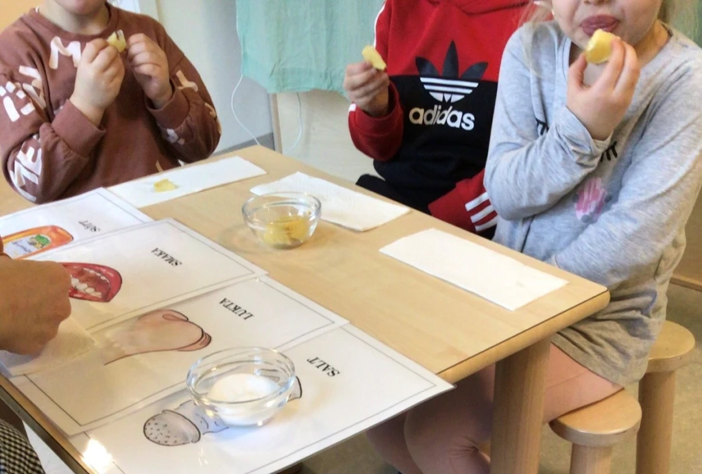 smakprov av äpple