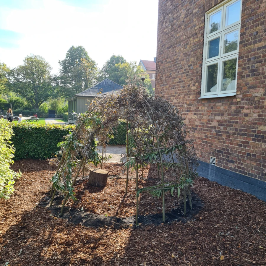 En pilekoja stod högt på önskelistan på Maria Parkskolan.