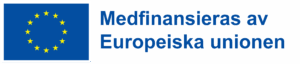 Bilden visar Europeiska socialfondens flagga med en text bredvid där det står att projektet medfinansieras av Euorpeiska socialfonden