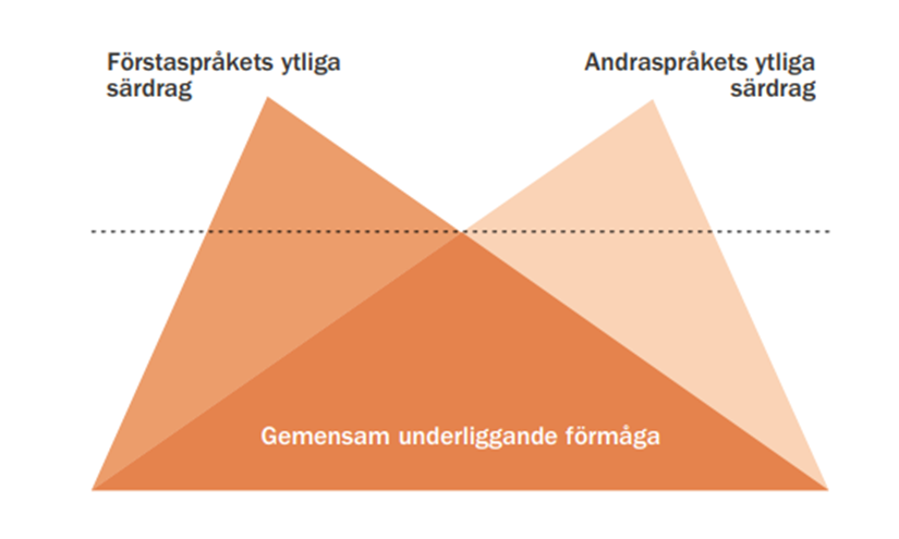 Jim Cummins kända isbergsmodell (även kallad "Dual Iceberg Representation"), som illustrerar teorin om gemensam underliggande förmåga (Common Underlying Proficiency, CUP).