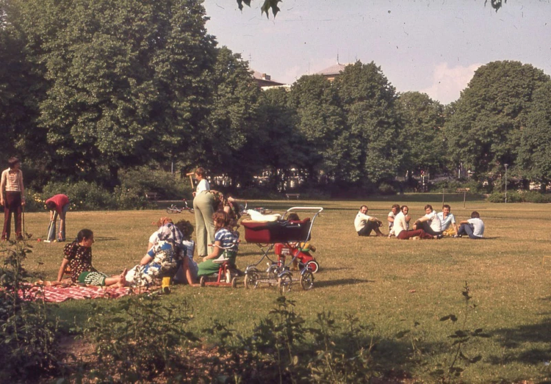 Gräsmatta med picknickande människor.