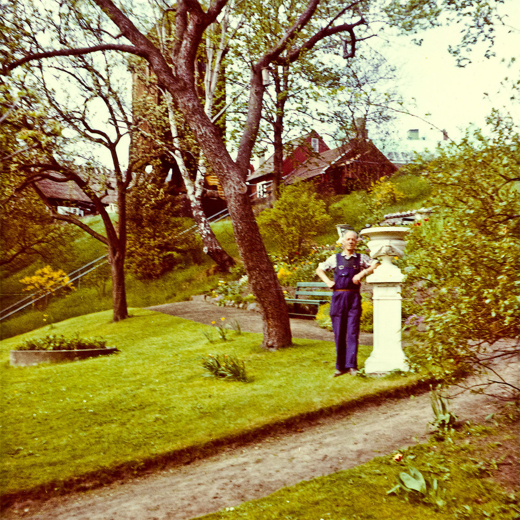 I trädgårdens sydvästra hörn. Foto: Björn Engdahl.