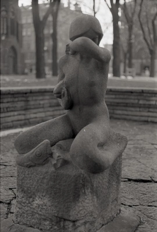 Liten sjöjungfru, Ragnhild Schlyter.