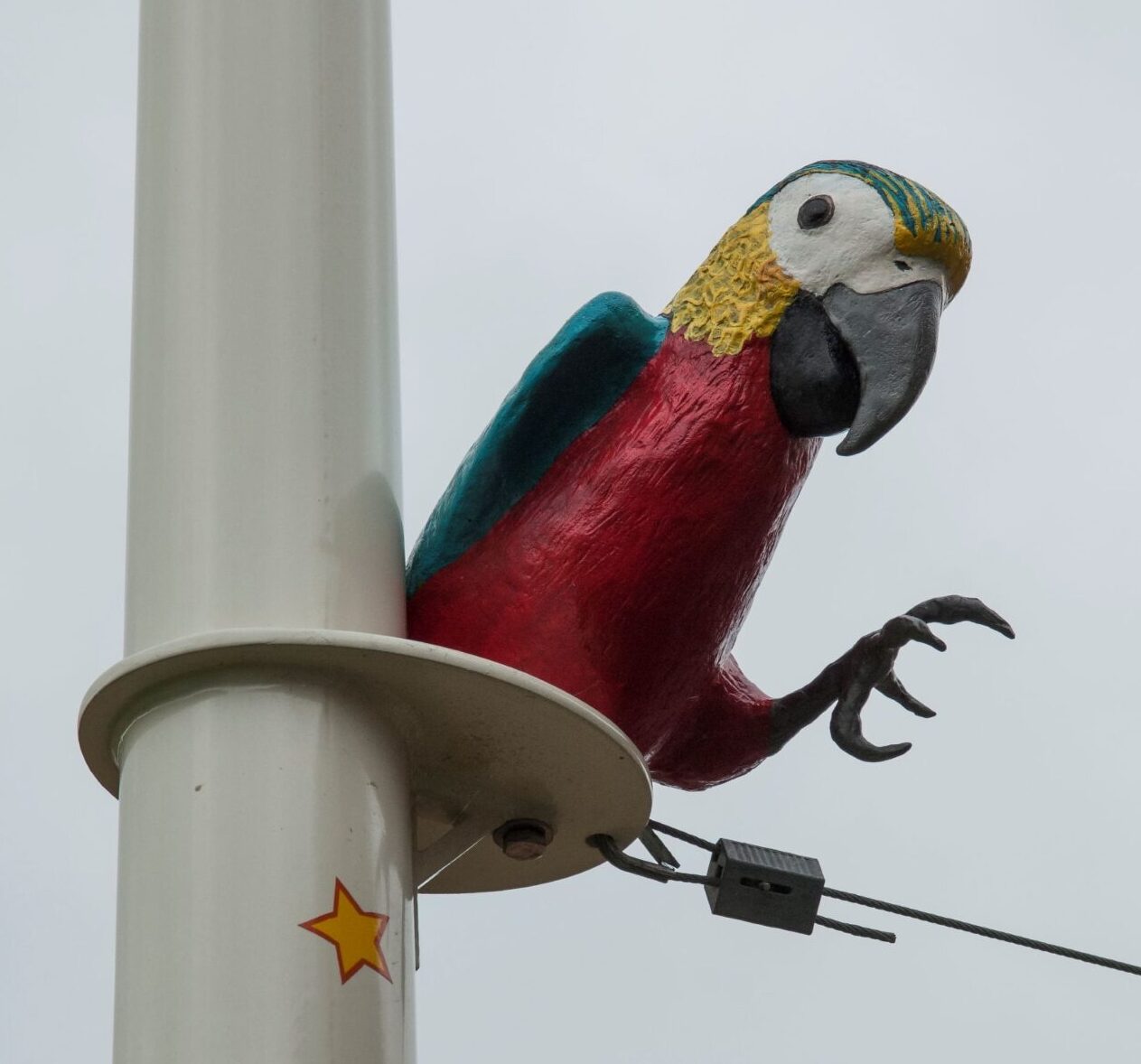 Konstverk utomhus med en papegoja som går på lina.