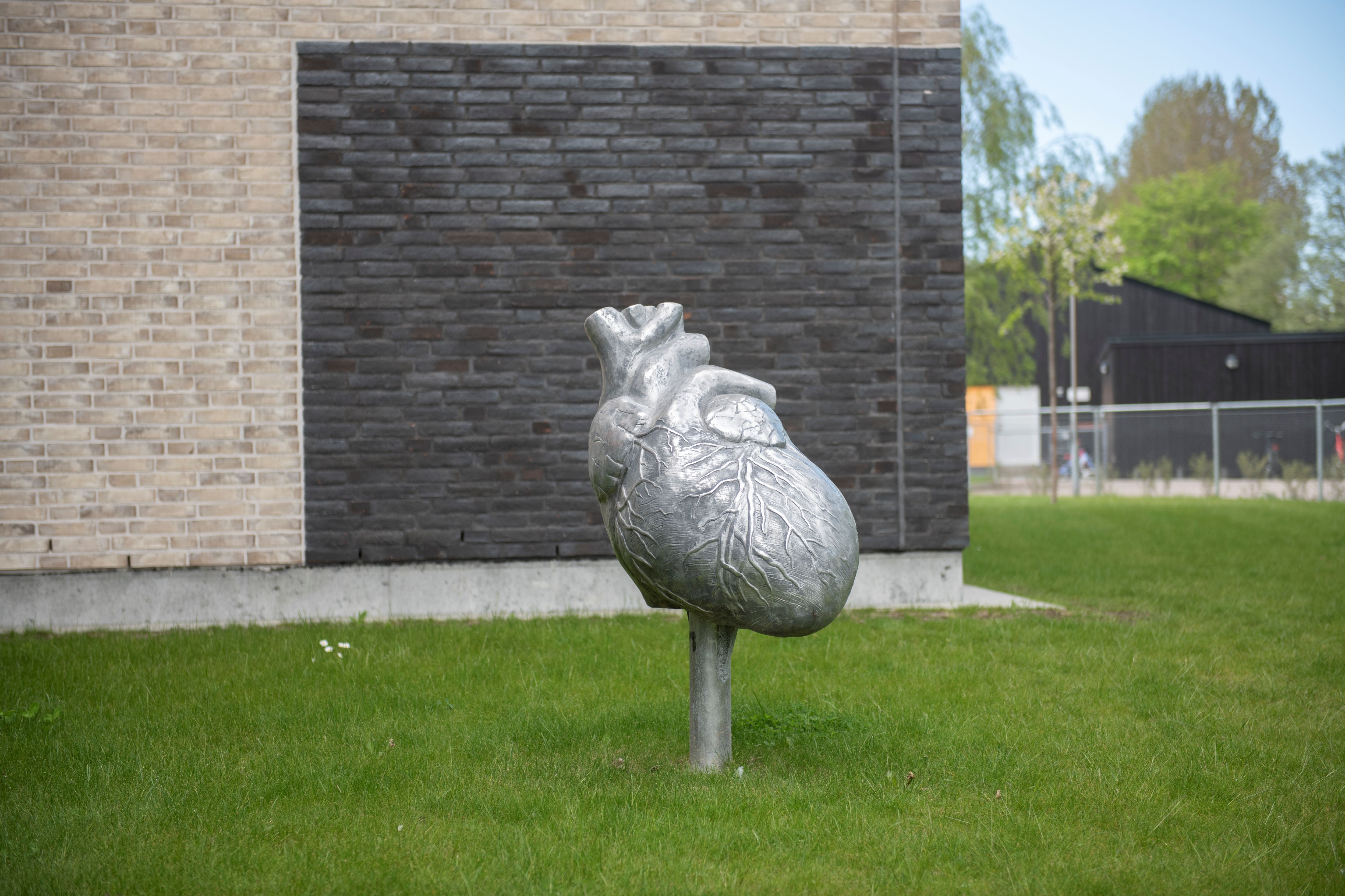 Skulptur av ett anatomiskt hjärta