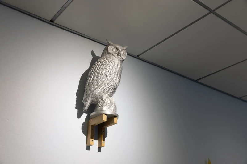 Rumslig gestaltning med skulpturer av uggla, trädgren och flammor. 
