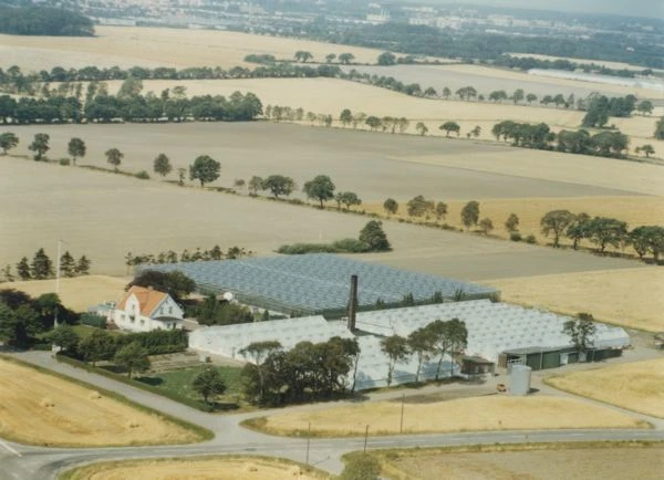 Flygbild av växthus i Östra Ramlösa omgivet av åkrar.