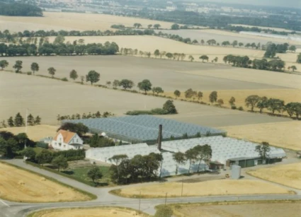 Flygbild av växthus i Östra Ramlösa omgivet av åkrar.