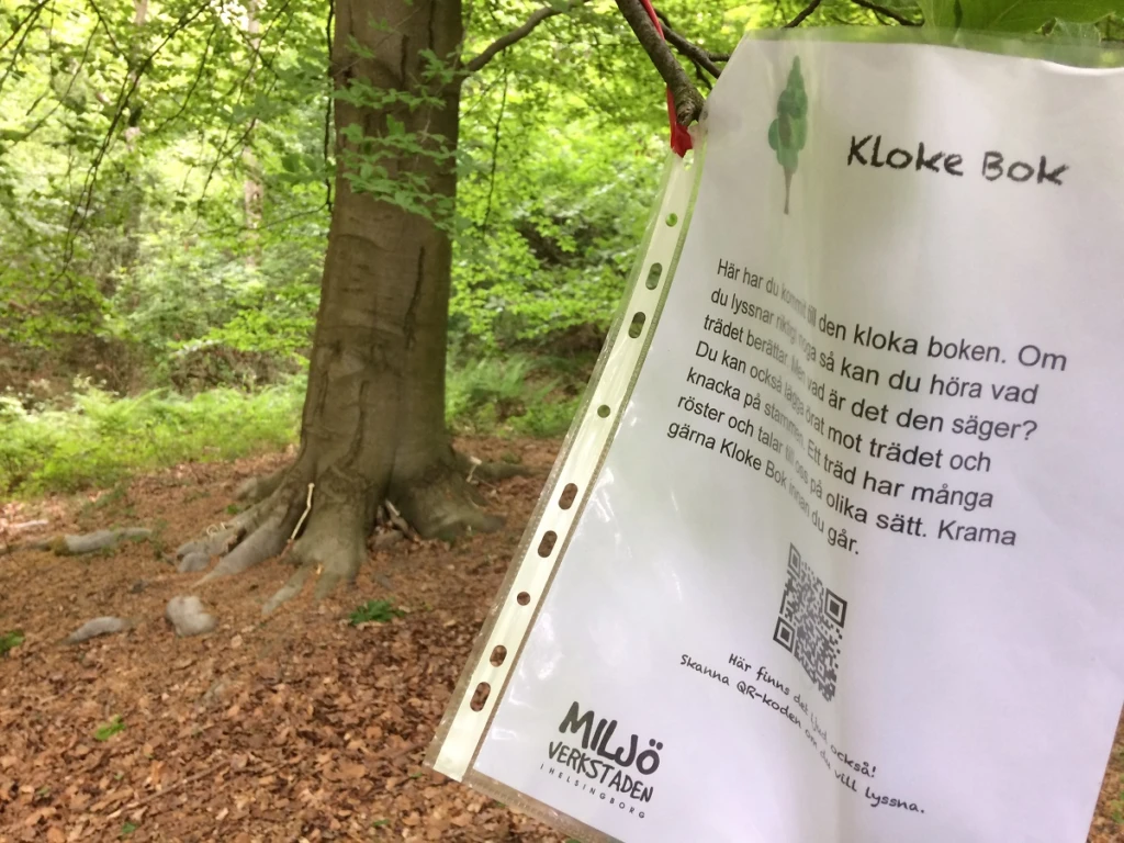 Uppdrag i Drömskogen