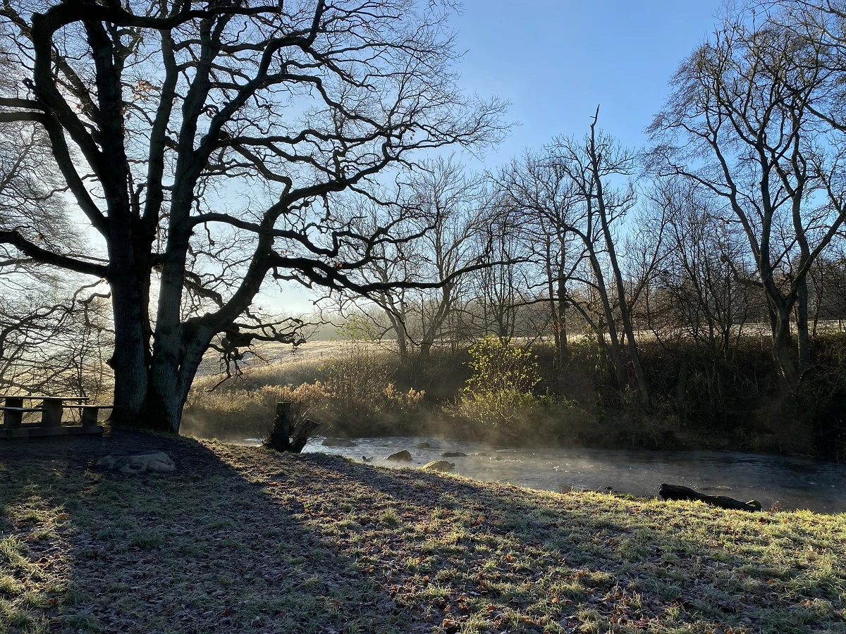 Naturpunkt Råån i November