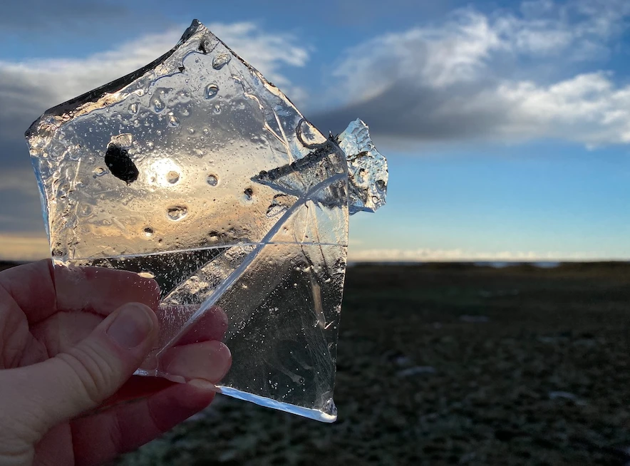 Vi blickar framåt mot ett nytt år! Foto: Caroline Sjunner