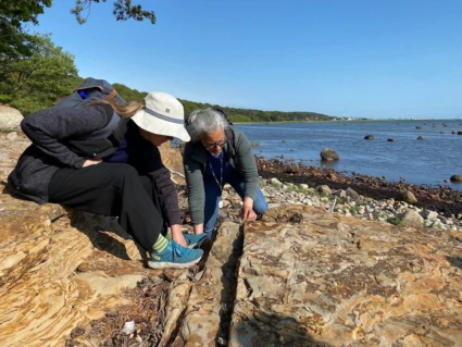 Två vuxna personer undersöker sandsten vid havet en sommardag.