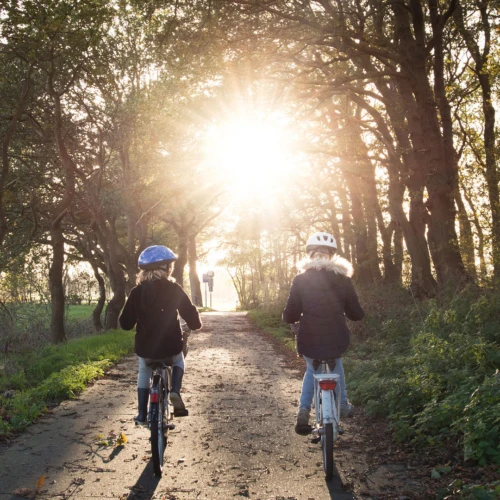 Två barn cyklar på en grusstig omgiven av träd. Solen håller på att gå ner.