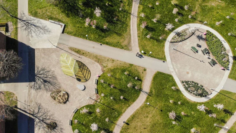 Grönskande körsbärslunden från ovan.