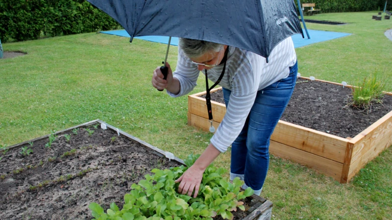 Anita Wallin, kvalitetsledare på Magnoliagatans gruppbostad, gillar de rädisor som gruppbostaden har lyckats odla fram.