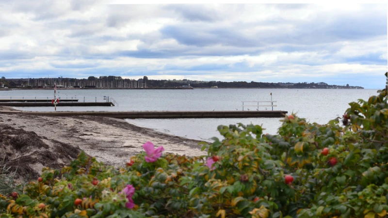 Här vid havet på Råå vallar hämtade Åsa och Fanny kraft med otaliga promenader. – Jag upptäckte att motion som medicin är så underskattat, säger Åsa.