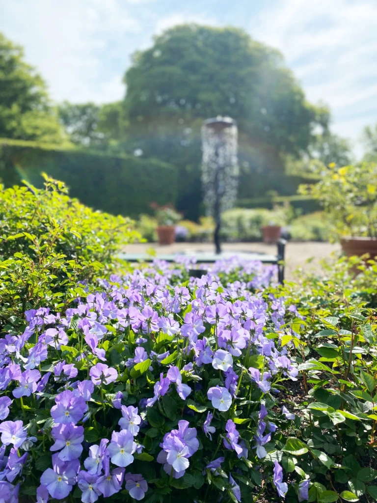Fredriksdal, naturbild, blommor