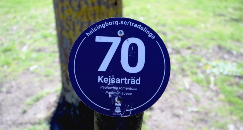 En skylt med trädnamnet Kejsarträd