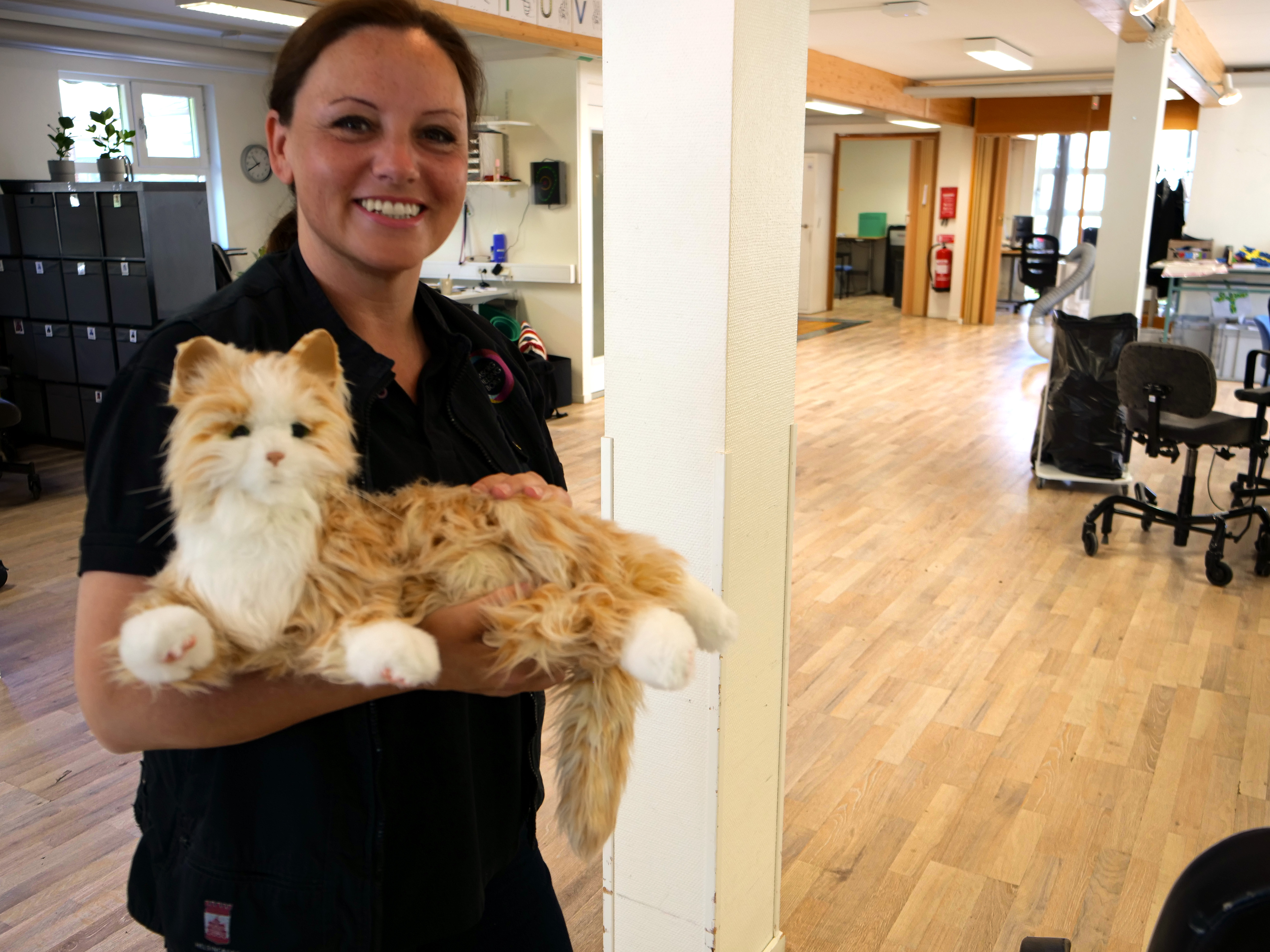 Sabdra ned den mekaniska katten, som används i återhämtnings- och avslappningssyfte.