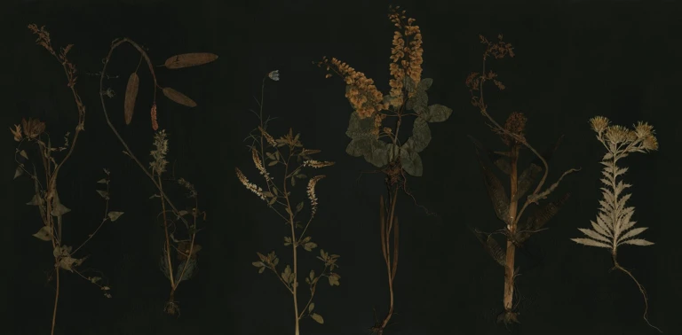 Biofili