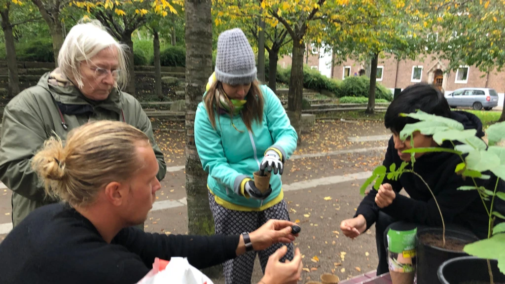 Trädplanteringsworkshop med Söderscen på Furutorpsplatsen