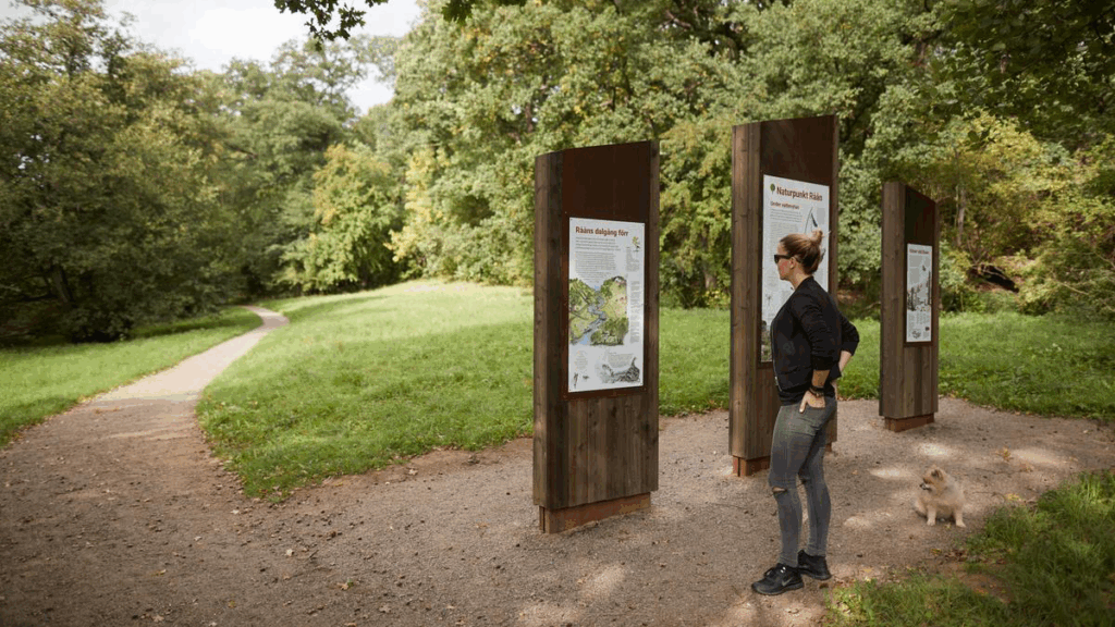 Kvinna står i grön en lövskogsmiljö och läser en skylt vid Naturpunkt Råån. 