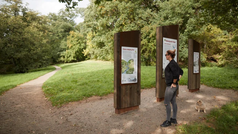 Kvinna står i grön en lövskogsmiljö och läser en skylt vid Naturpunkt Råån. 
