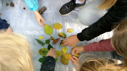 Barn tittar tillsammans på några samlade löv i grönt, brunt och gult.