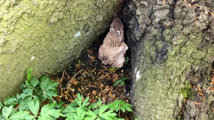 En liten vätte av bark tittar fram under ett träd med blommor framför.