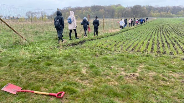 En skolklass går på rad i kanten av en plantering. I ena kanten ligger en röd spade.