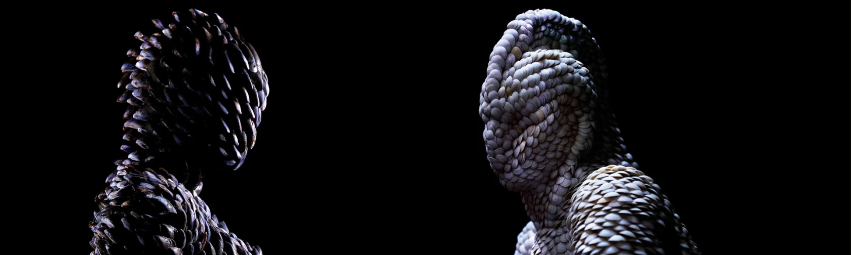 Aquanauts – Expeditionen